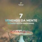 DDE Desafio Detox Emocional